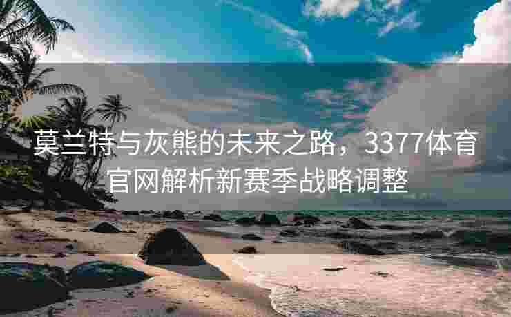 莫兰特与灰熊的未来之路，3377体育官网解析新赛季战略调整